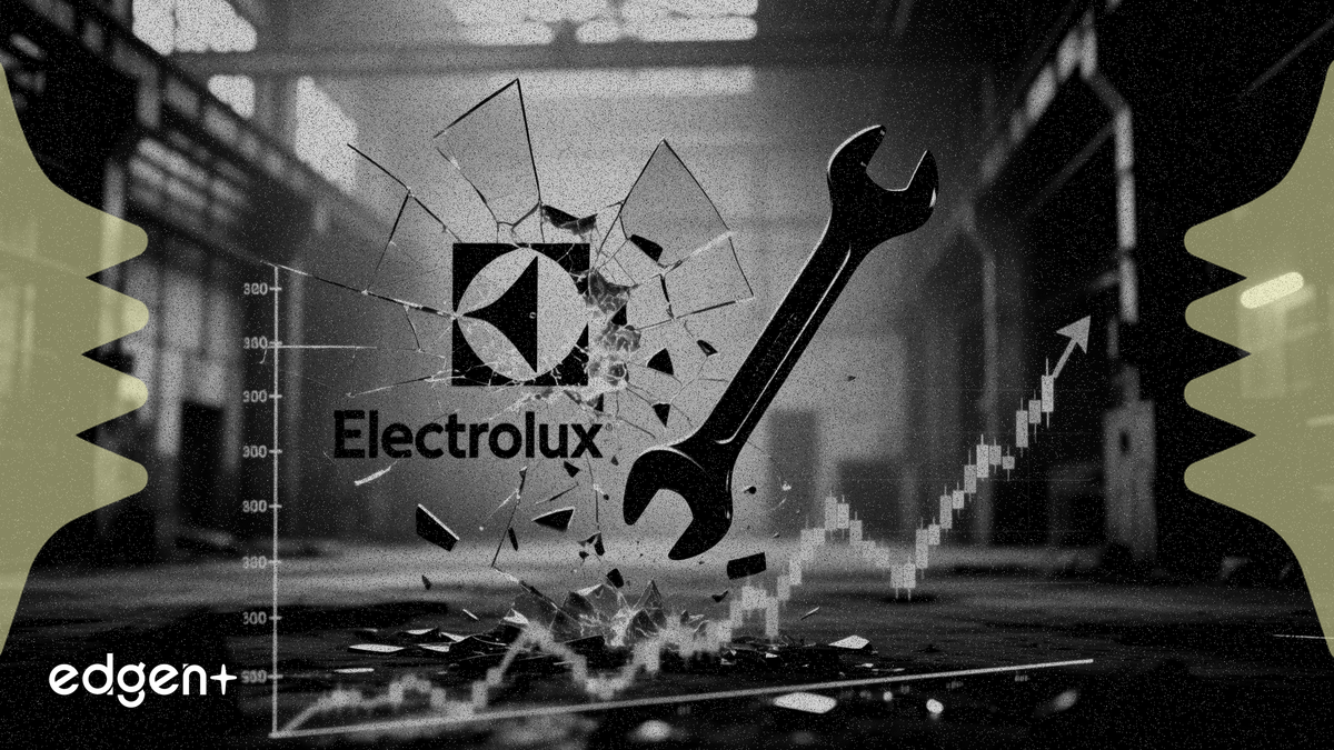 Electrolux sẽ cắt giảm 600 việc làm tại Hungary, chịu khoản phí 65 triệu USD