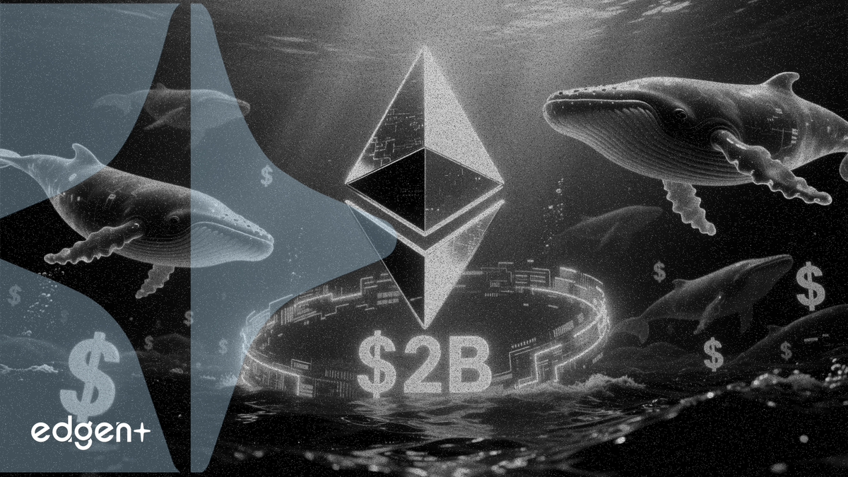 Les baleines Ethereum ajoutent 2 milliards de dollars en ETH alors que les avoirs atteignent un sommet de 10 semaines