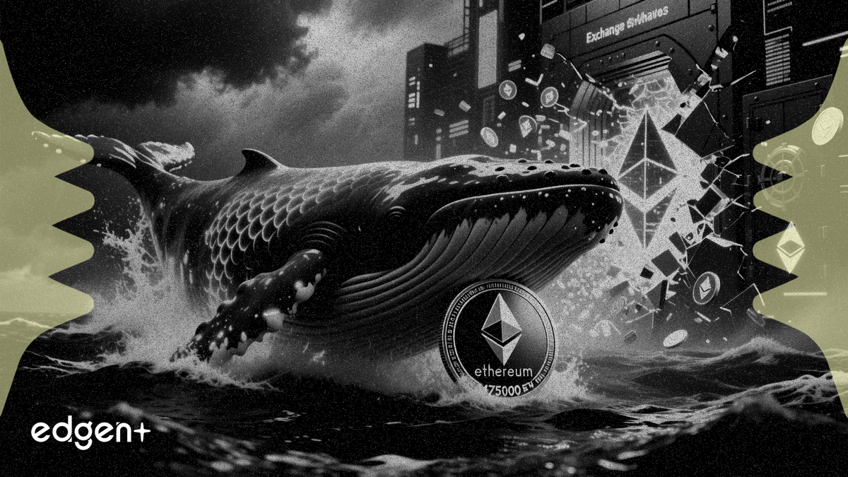 Cá voi Ethereum gom hàng khi dự trữ sàn giao dịch giảm 475.000 ETH