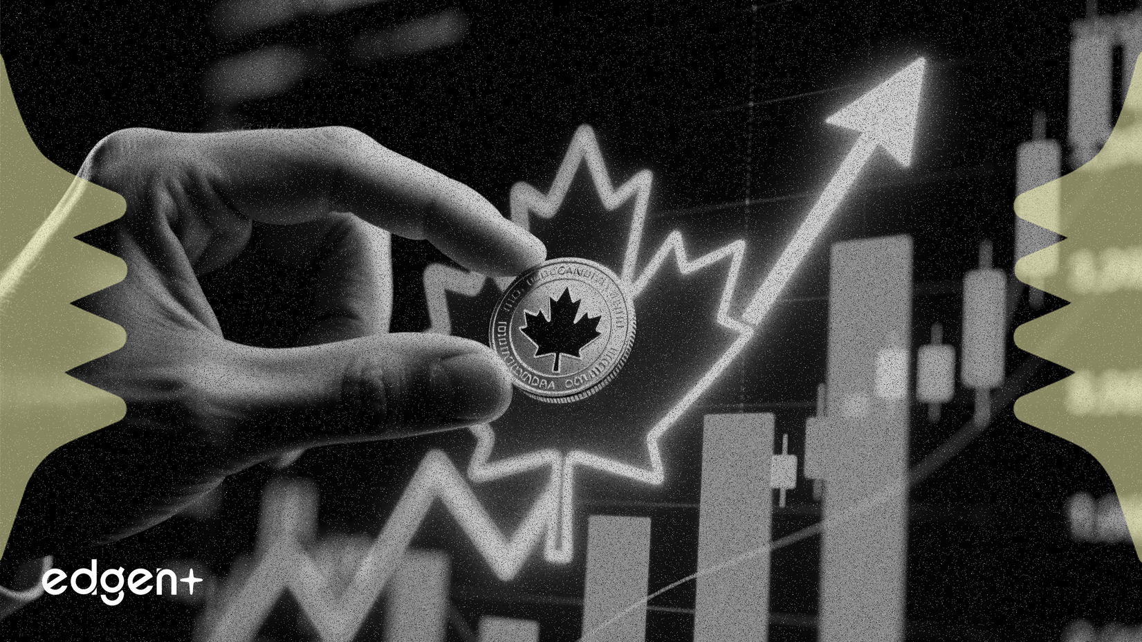 내부자들, 핵심 캐나다 주식 성장세에 베팅