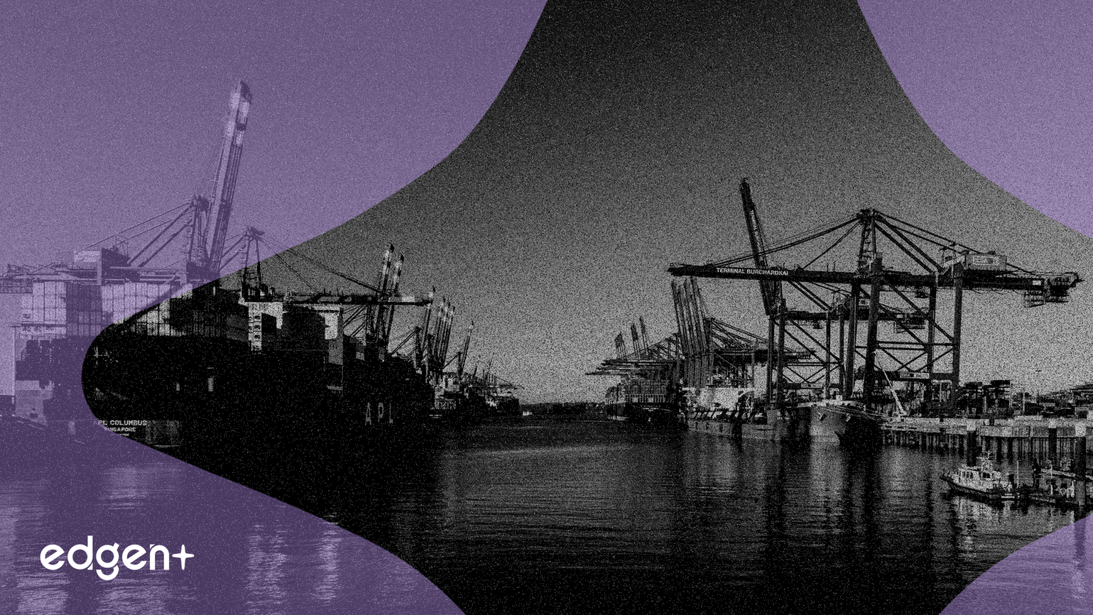 Experto advierte que los aranceles y los problemas de suministro de IA podrían descarrilar las acciones para 2026