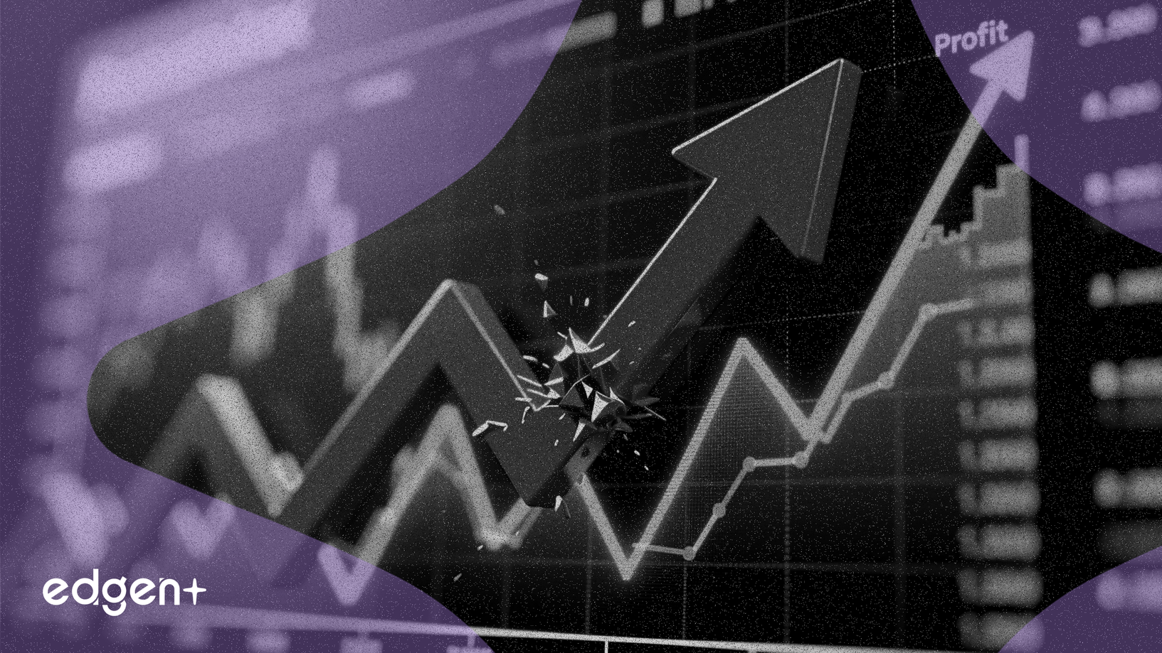 明星電力營收增長，淨利潤仍下滑12%