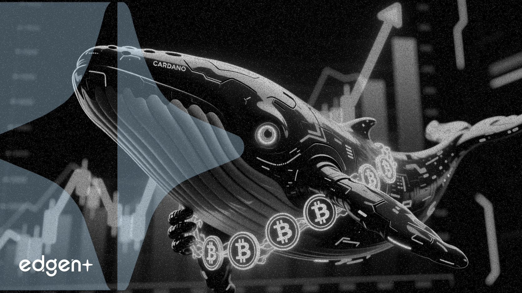 Cardano巨鯨買入2.1億枚ADA，預示市場信心