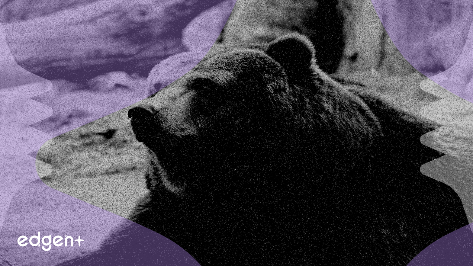 内部人抛售考验BROS和MPWR的信心