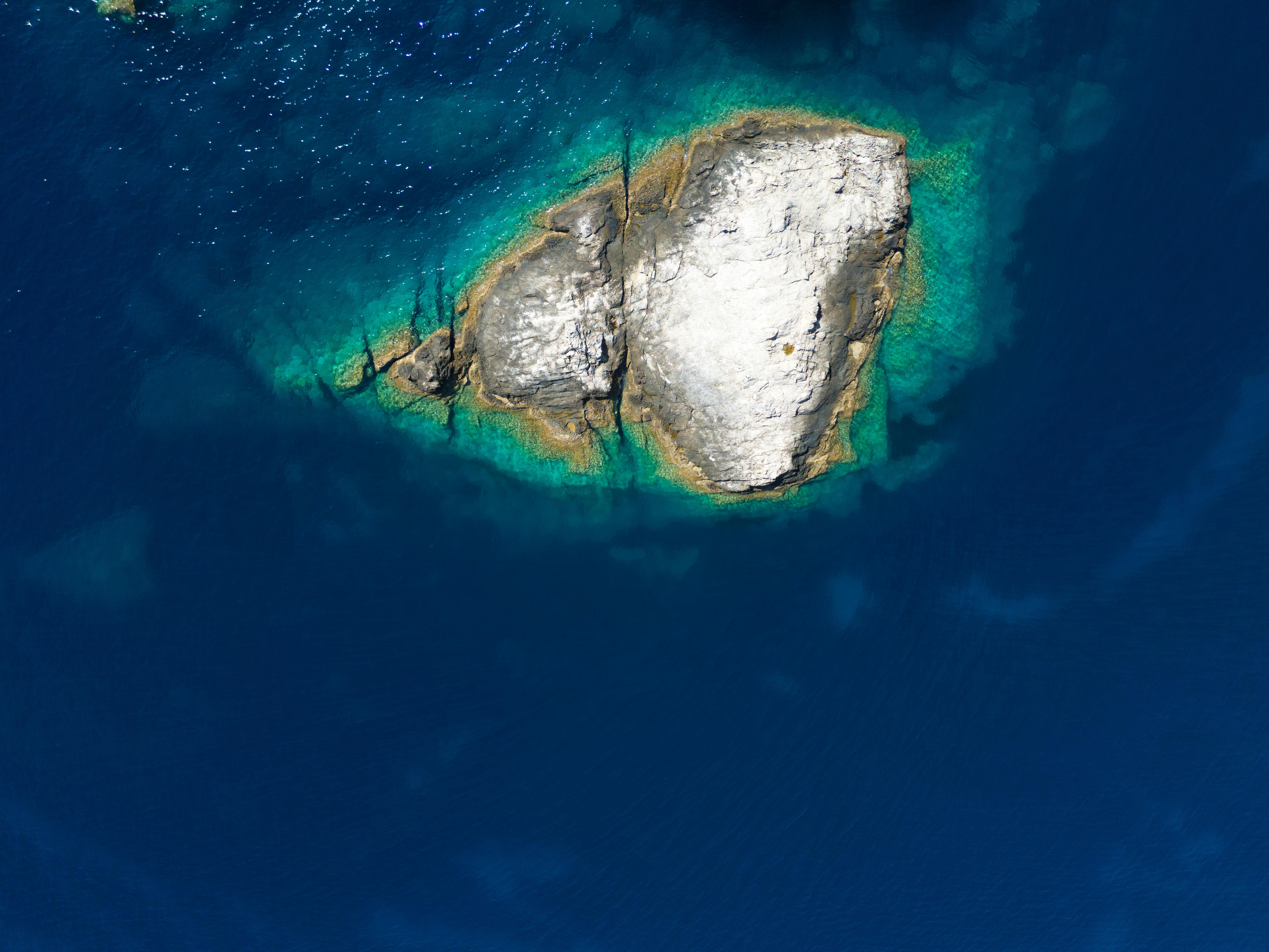 Anoma (XAN) Listing Status Clarified Amid Market Speculation; Mainnet Anticipated 2025