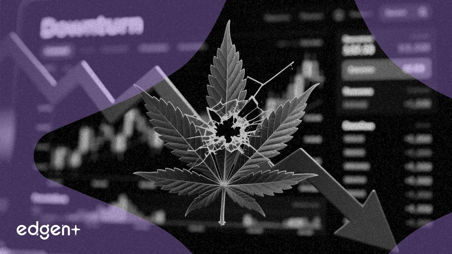 Las acciones de Aurora Cannabis caen un 8,2% tras el informe de ganancias del T3