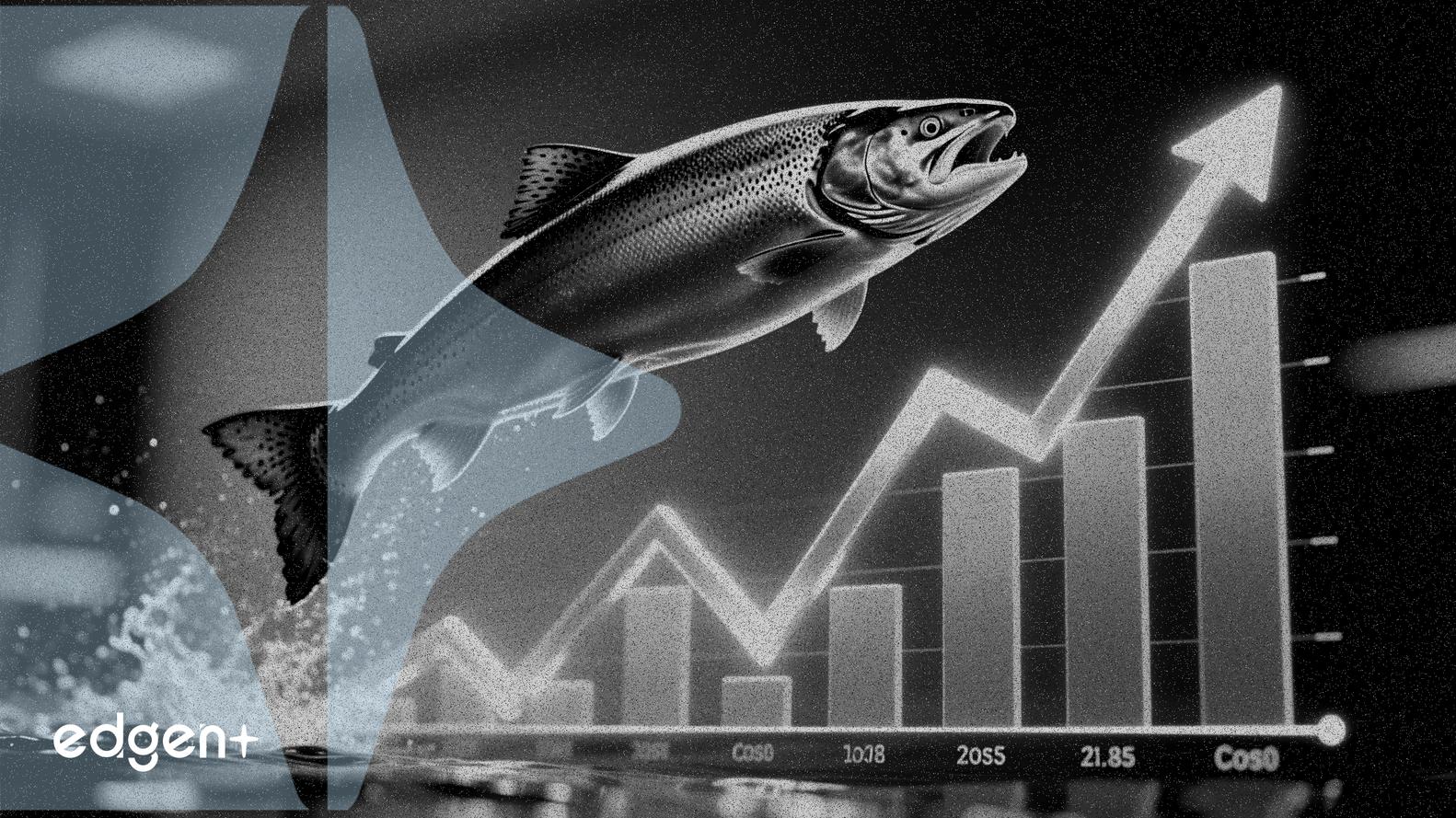 SalMar : Production Record et Réduction Drastique des Coûts au T4