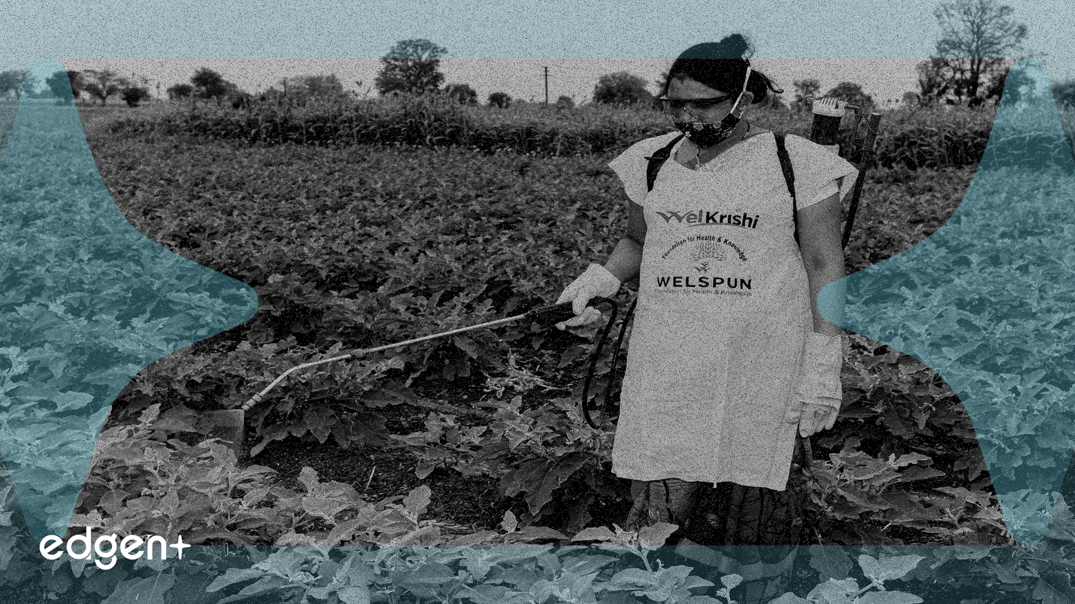 Abu Dabi, Sürdürülebilirlik Endişelerini Gerekçe Göstererek ve Ağır Para Cezaları Uygulayarak Tarım Arazilerinde Kripto Madenciliğini Yasakladı