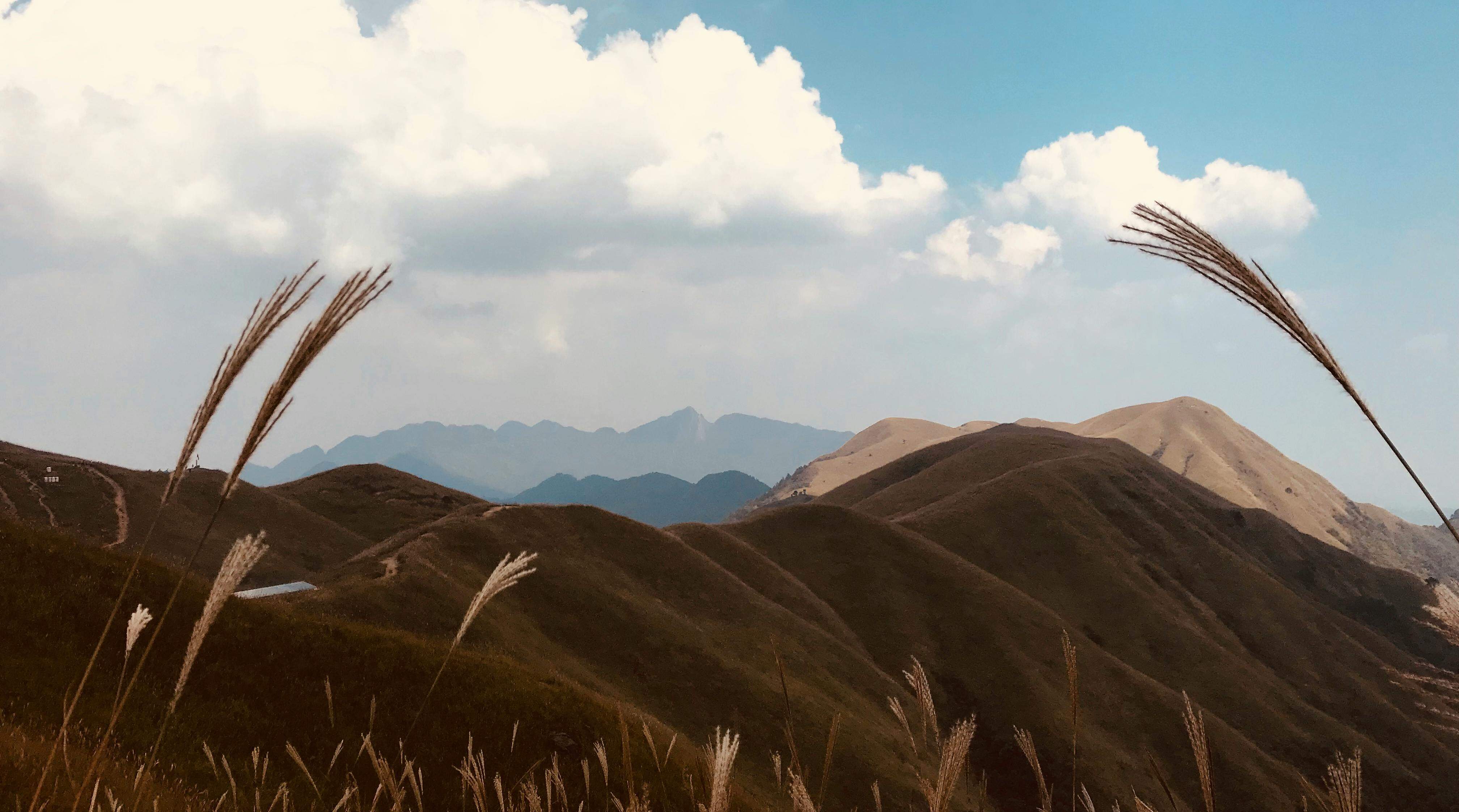 Apple Postpones iPhone Air Release in China Amid Regulatory Review