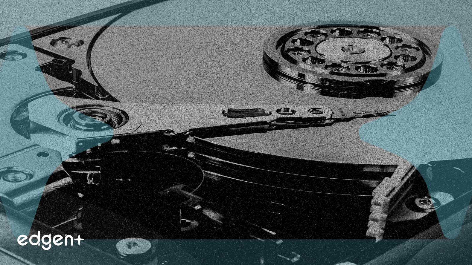 Western Digital Projects 45% Margin as AI Demand Fuels HDD Boom