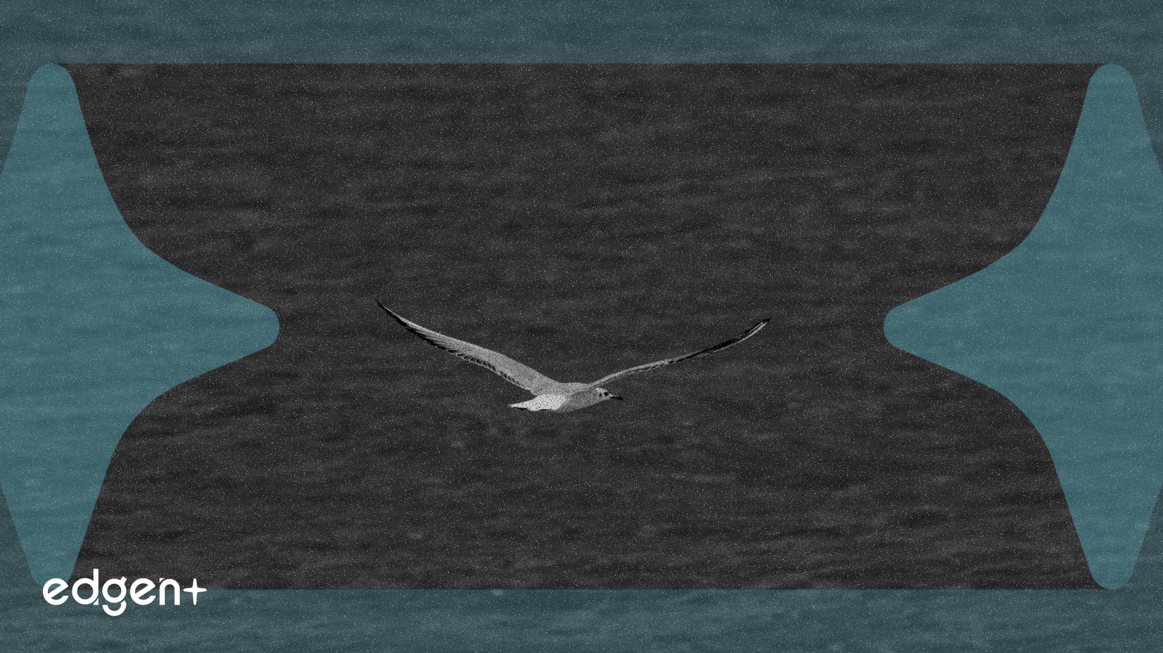 Surf Air Mobility Appoints Former Palantir Executive to Board, Stock Reacts Positively