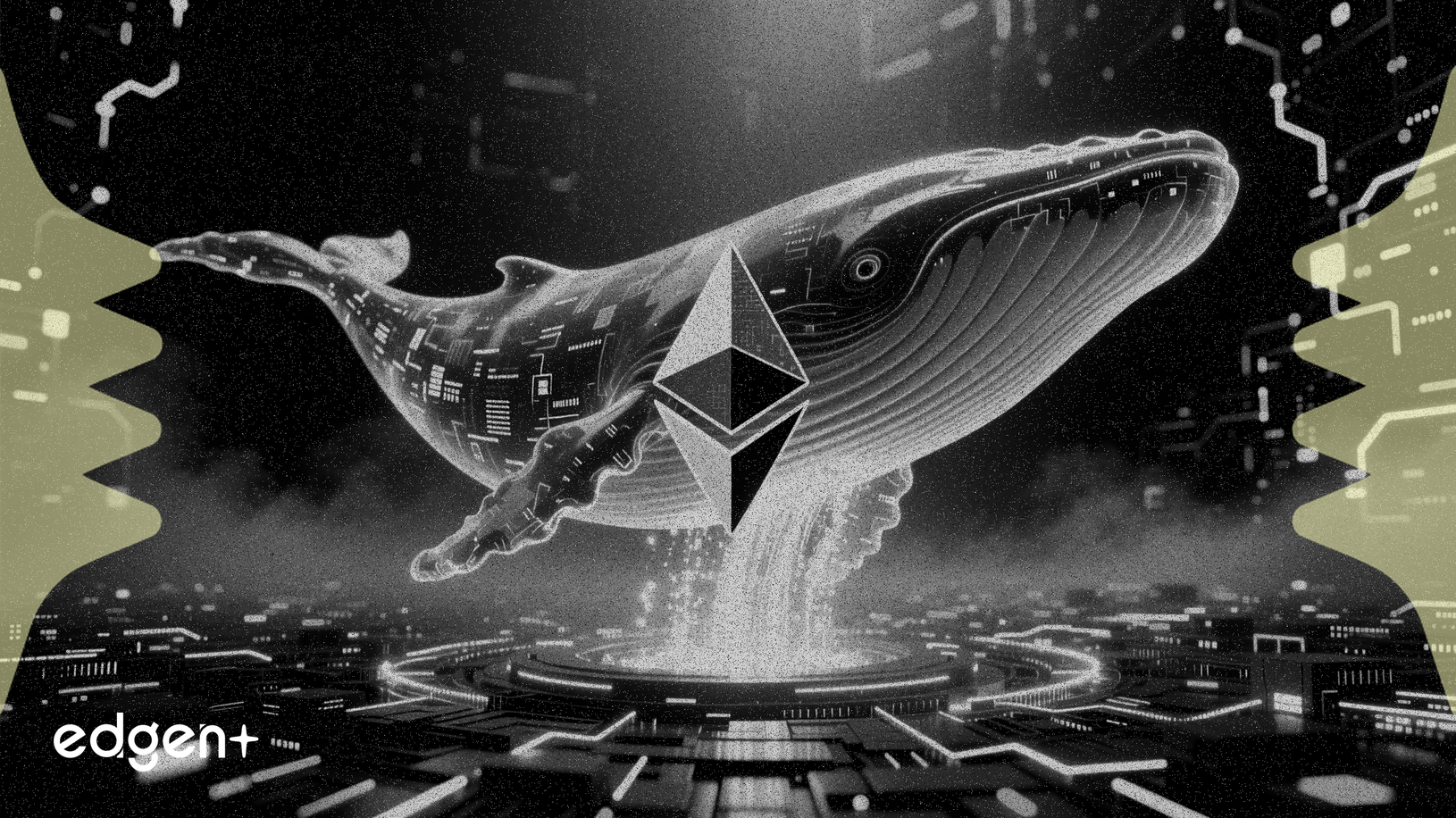 Ballena compromete 79 millones de dólares en Ethereum a medida que DeFi madura
