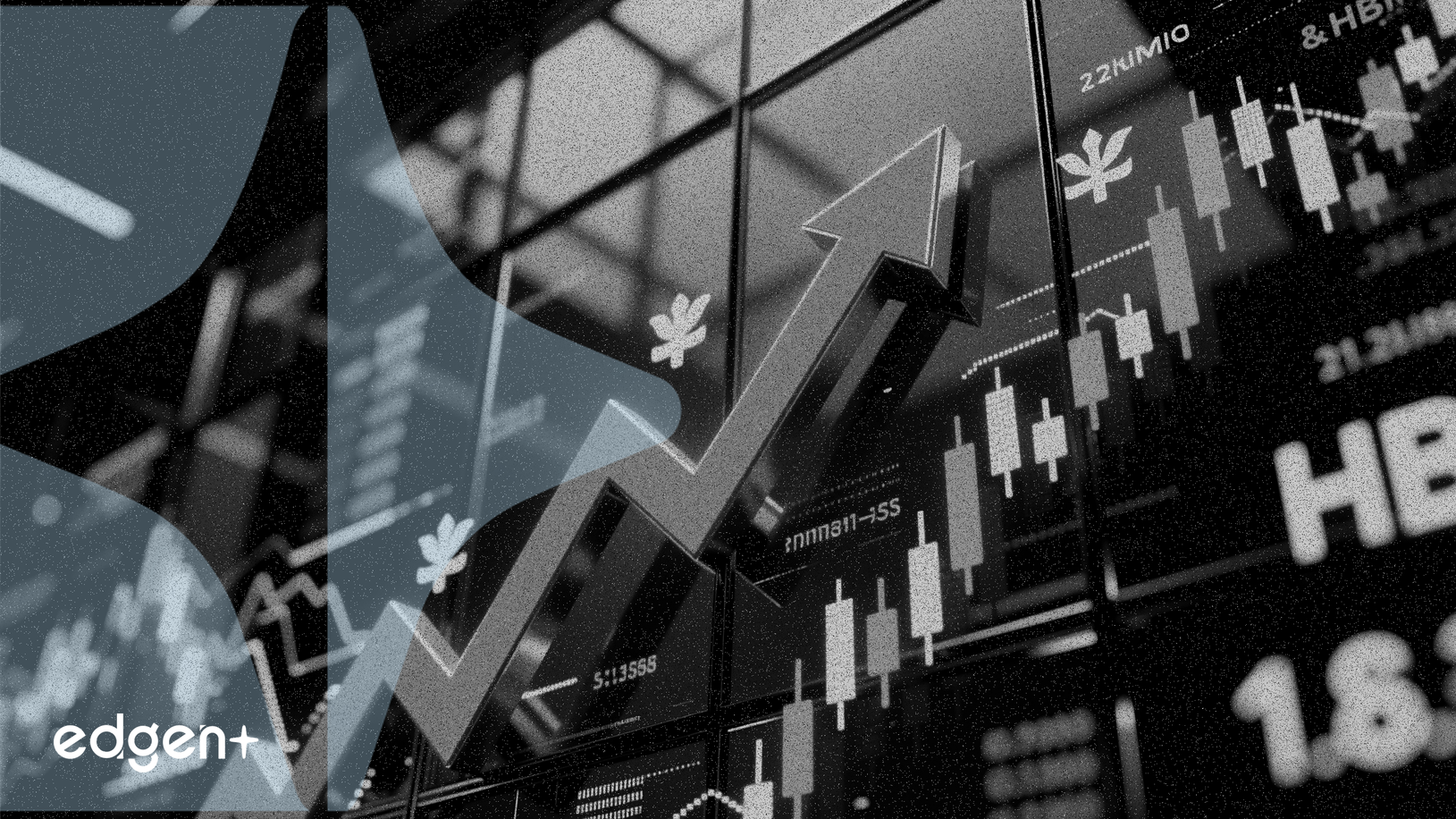 New Oriental Stock Climbs 5% to HK$44.36