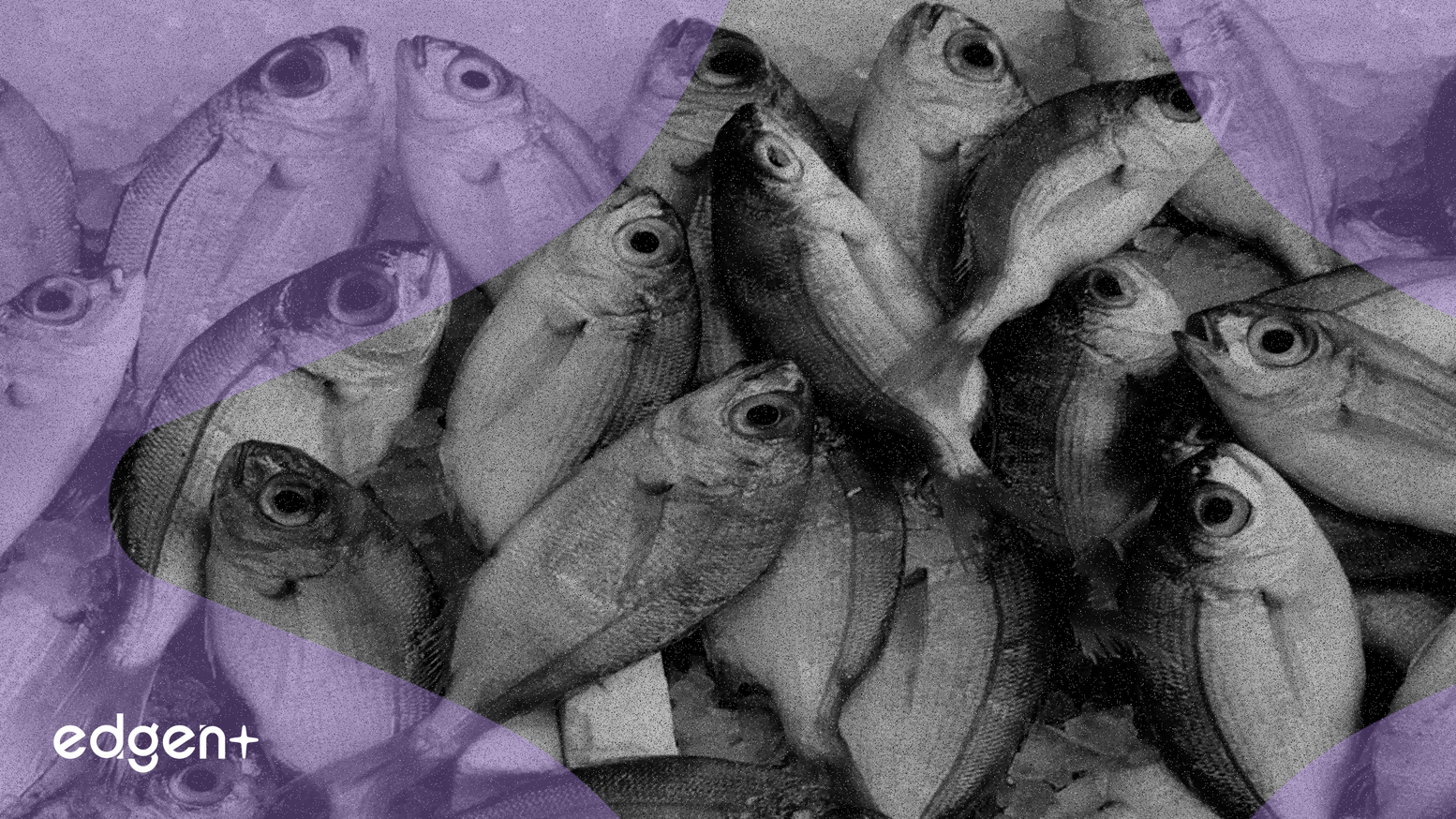 Intercontinental Exchange Polymarket'e Yatırım Yaptı, Bahis Sektörü Hisseleri Düştü