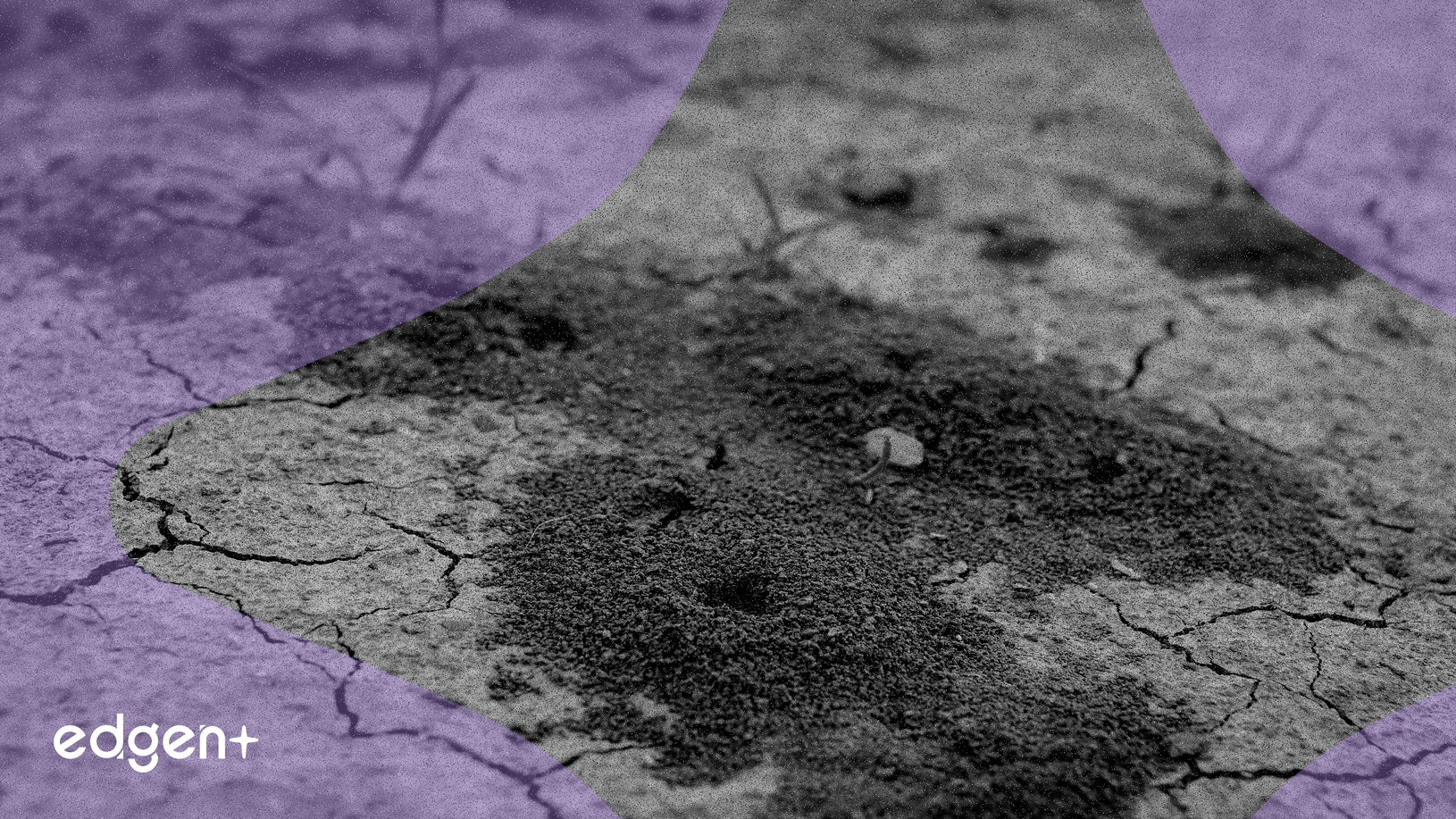 Whale Moves 10 Million FORM Tokens to Binance Amid 40% Price Surge, Signaling Potential Volatility