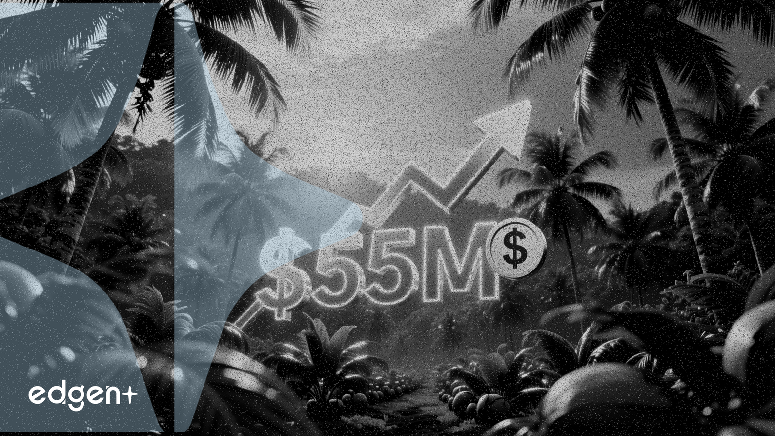 H&J、インドネシアのココナッツプロジェクト投資額を5500万ドルに増額