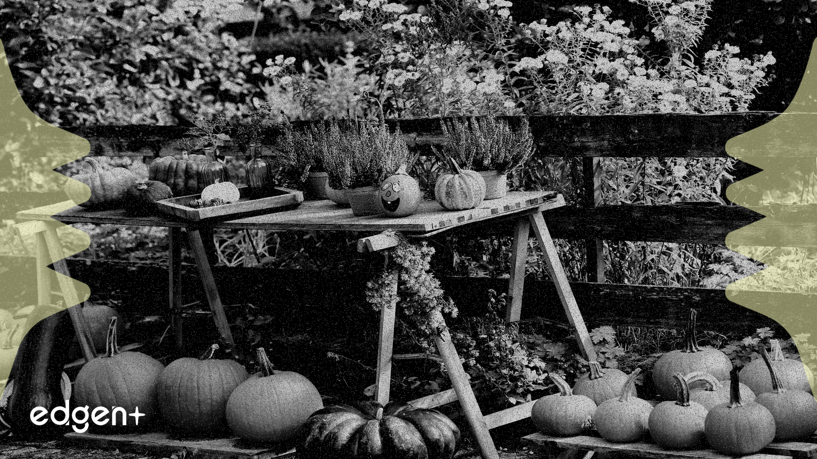 幣安用戶報告資產顯示問題，疑錢包停機