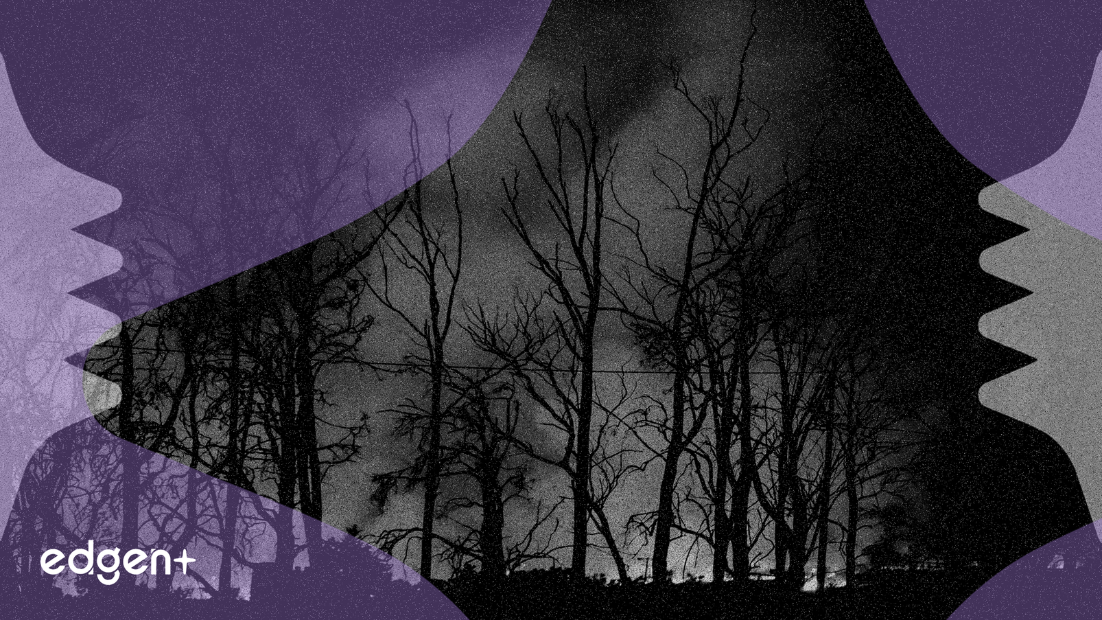 Edison International bắt đầu thanh toán, xử lý 1.669 yêu cầu bồi thường thiệt hại cháy rừng