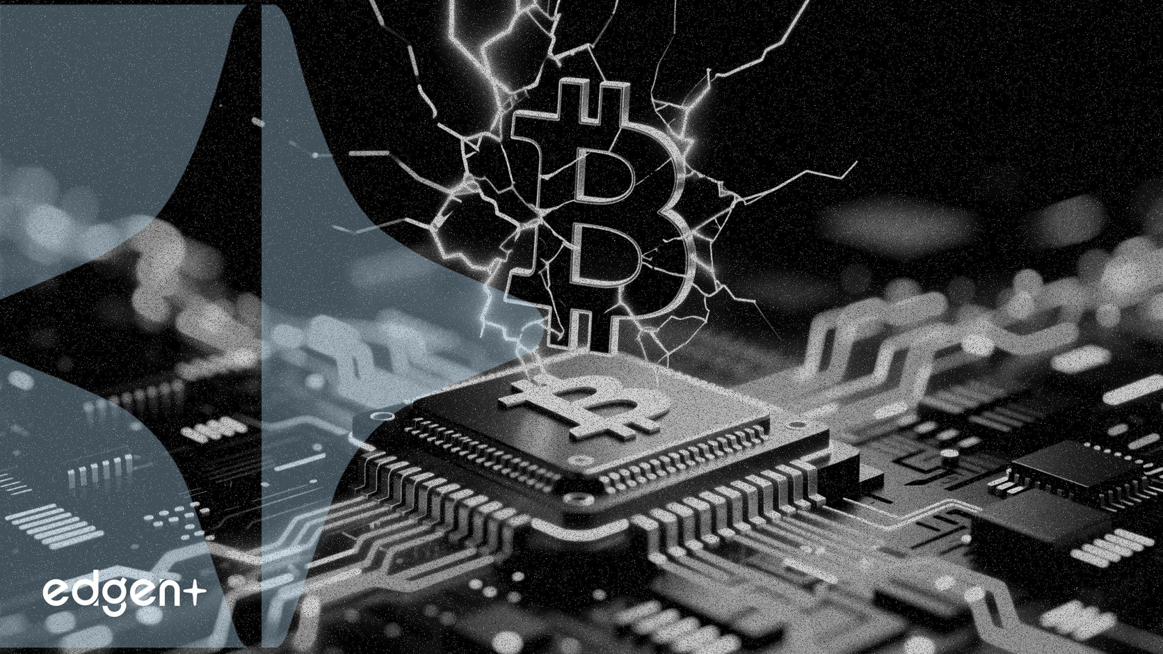 비트팜스, 비트코인 사업 철수 및 AI 집중 선언 후 주가 급등