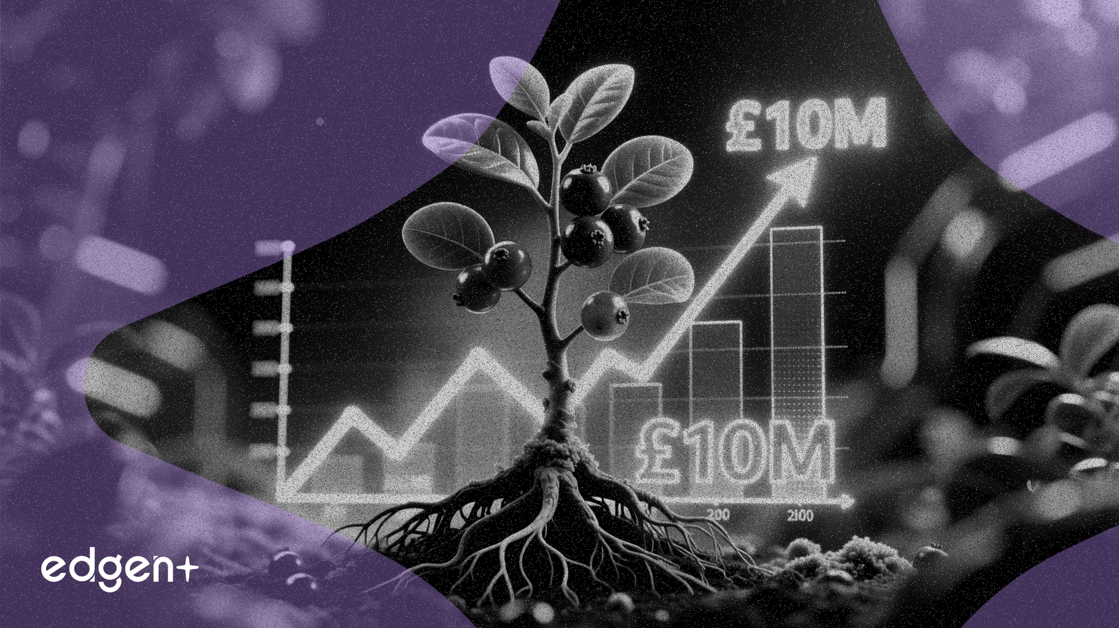 Nurture Brands vise 10 millions de livres sterling de revenus avec le lancement du camu camu