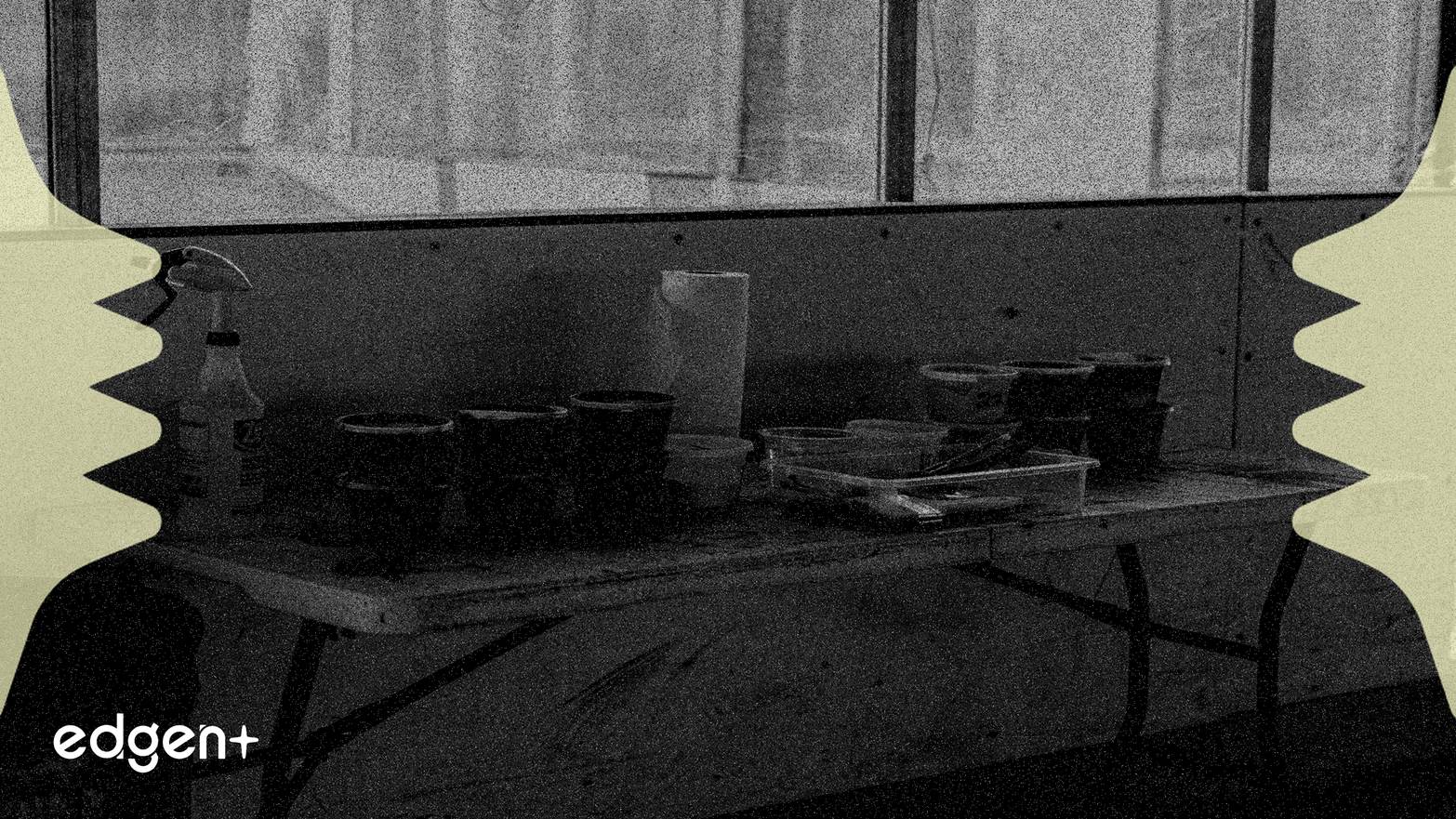 로켓 파마슈티컬스, 1월 14일 JP모건 콘퍼런스에서 업데이트 발표 예정