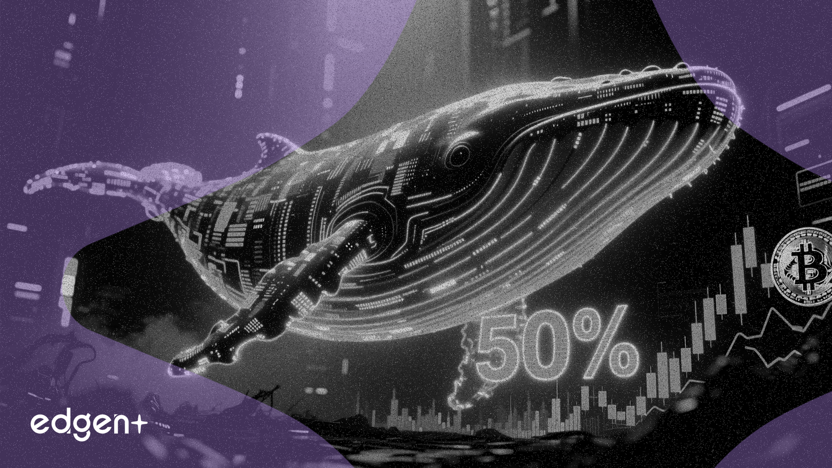 New Whales Rewrite Bitcoin Market With 50% Dominance