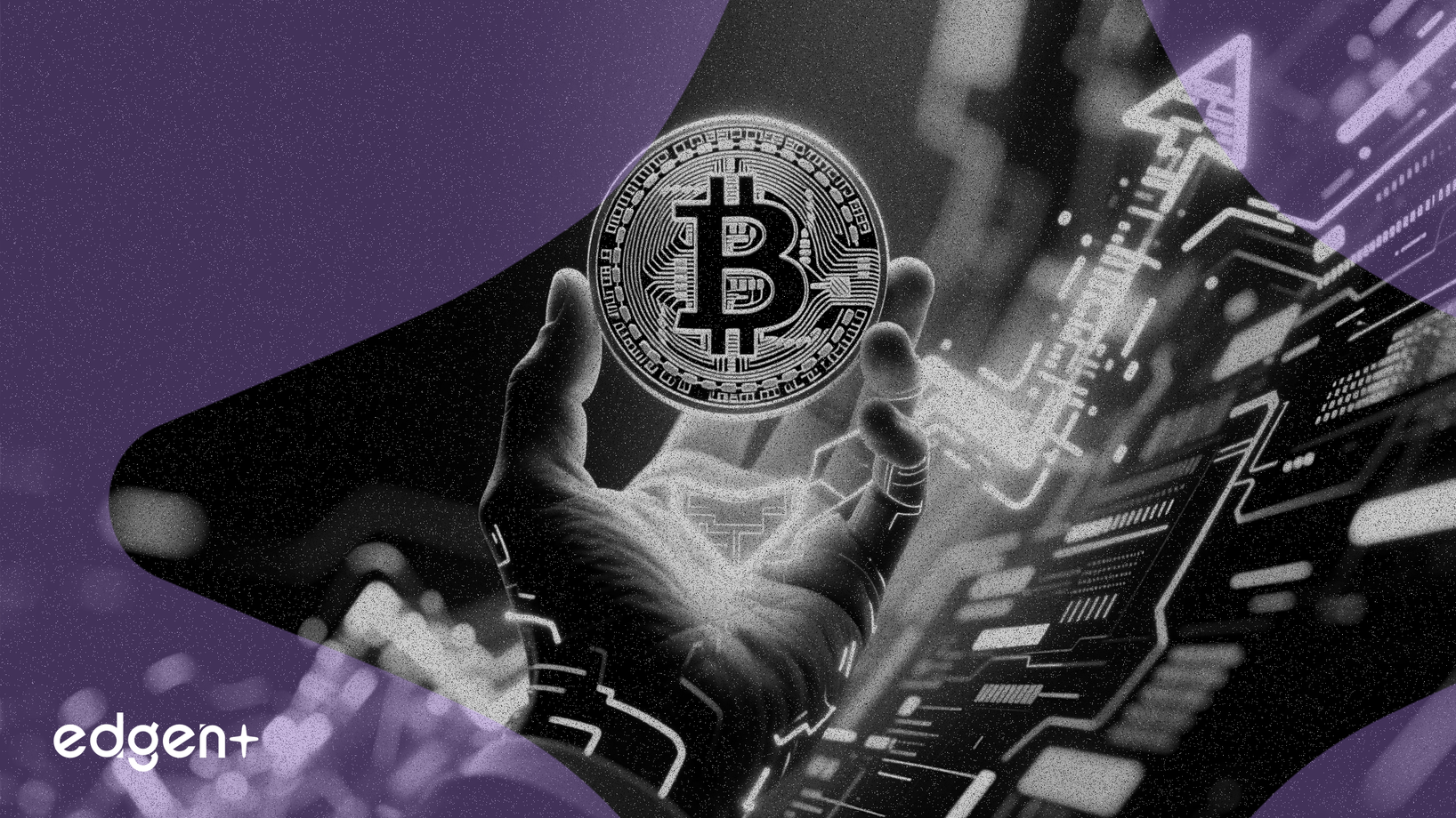 CIO de Bitwise: Las instituciones están comprando en la caída de Bitcoin