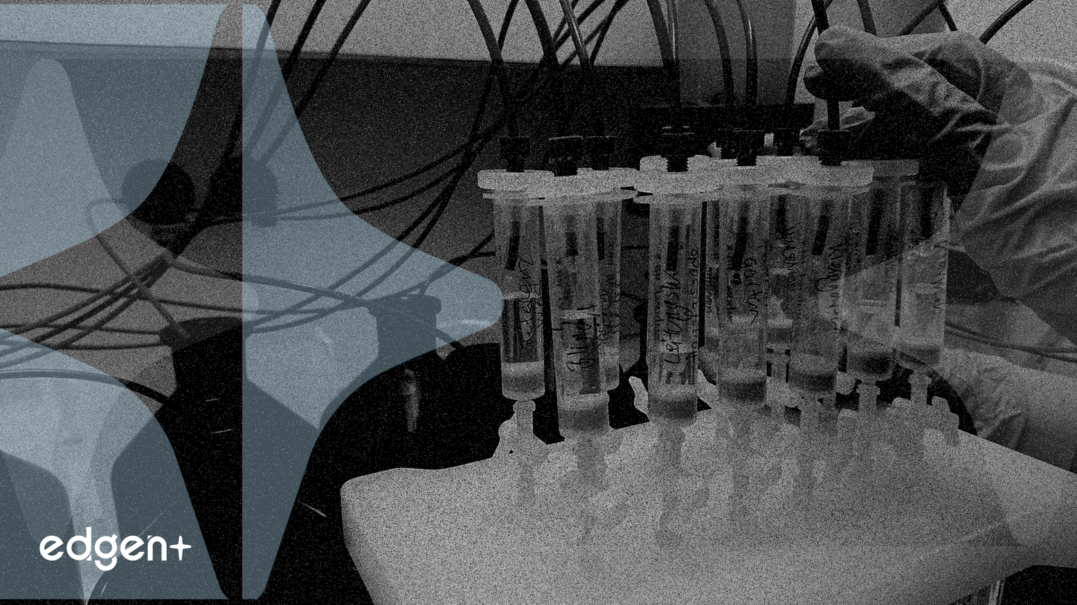 Biotechs Chinas Cierran Casi $5 Mil Millones en Acuerdos de Licencia con Farmacéuticas Occidentales