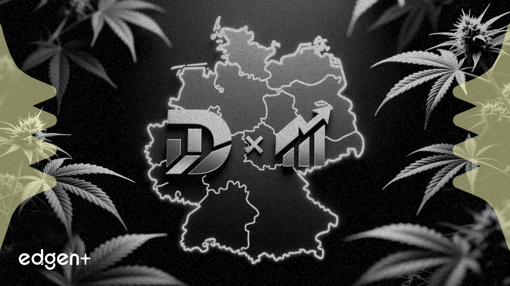 Organigram 收购 Sanity Group，剑指德国大麻市场