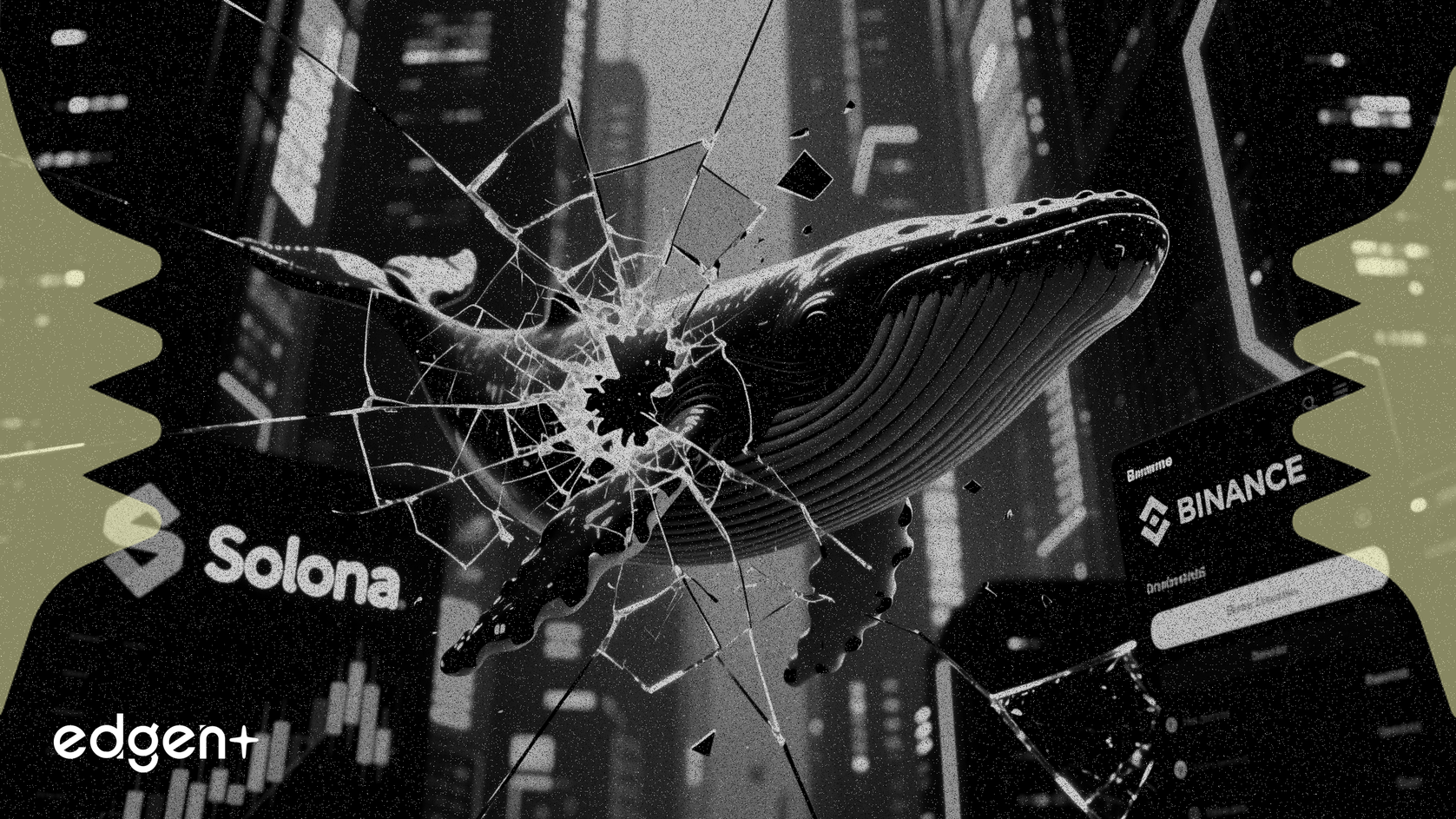 솔라나 고래, 바이낸스 입금 후 738만 달러 손실 실현