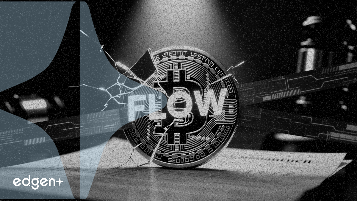 FLOW 암호화폐, 대형 법률 사무소로부터 증권 조사 직면