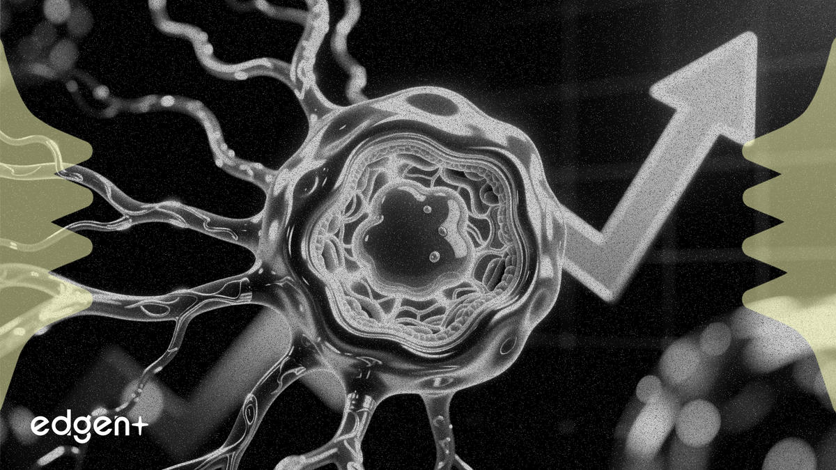 HBMホールディングスが1%上昇、AI創薬の肥満治療研究で脂肪76%減少を確認