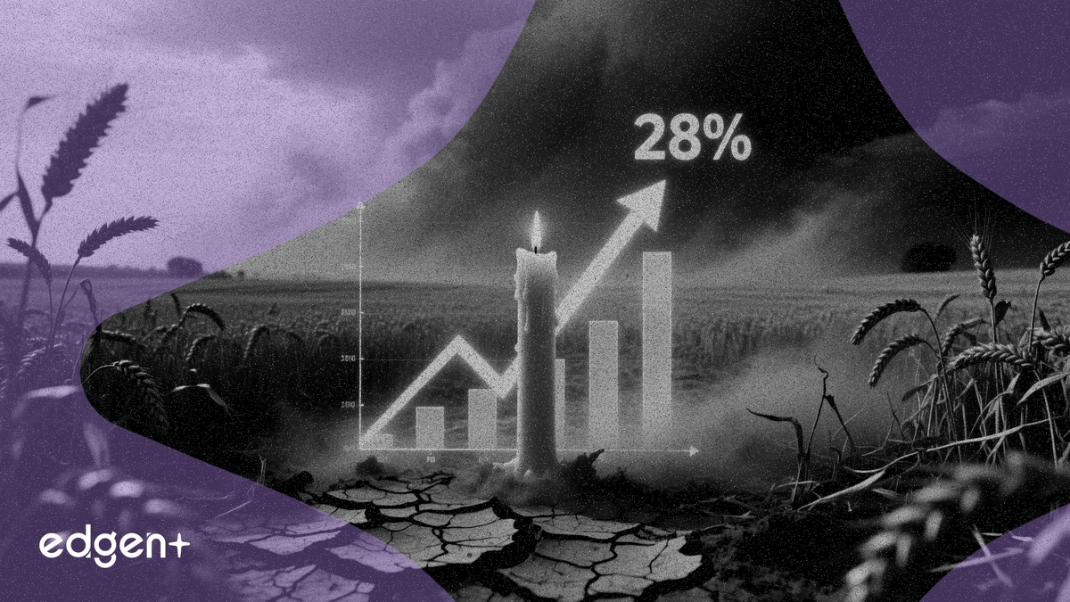 2026년 가뭄의 미국 작물 위협으로 HRW 밀 선물 28% 급등