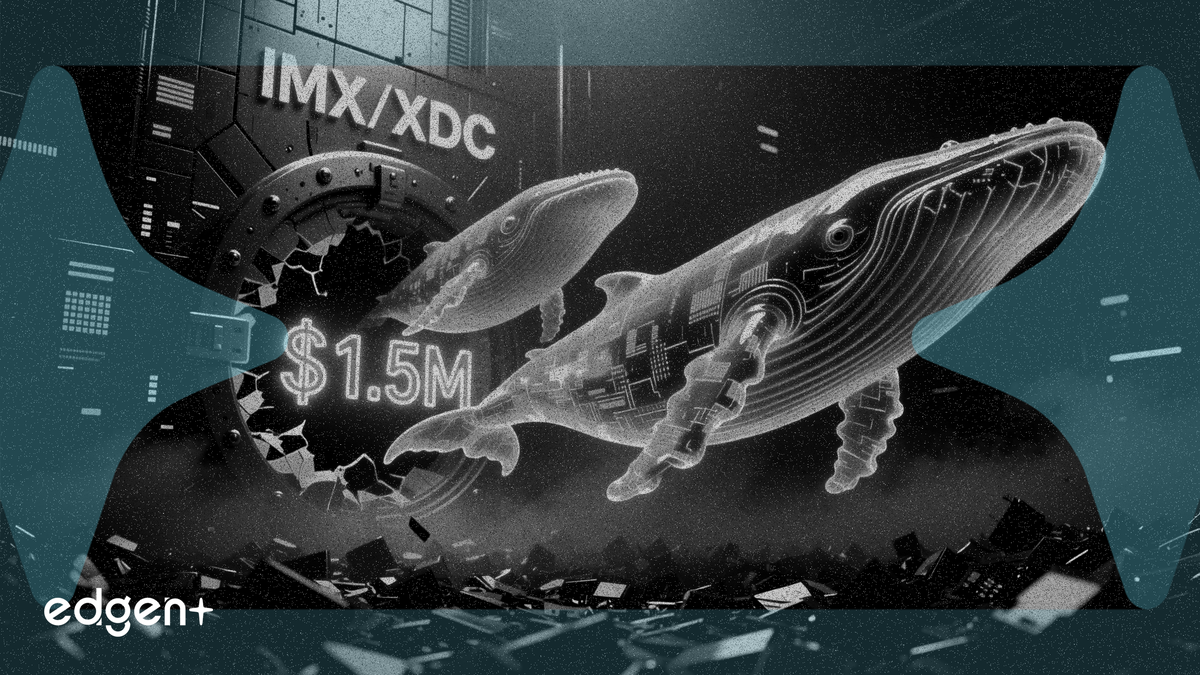 IMX et XDC enregistrent 1,5 million $ de sorties d'échanges alors que les baleines accumulent