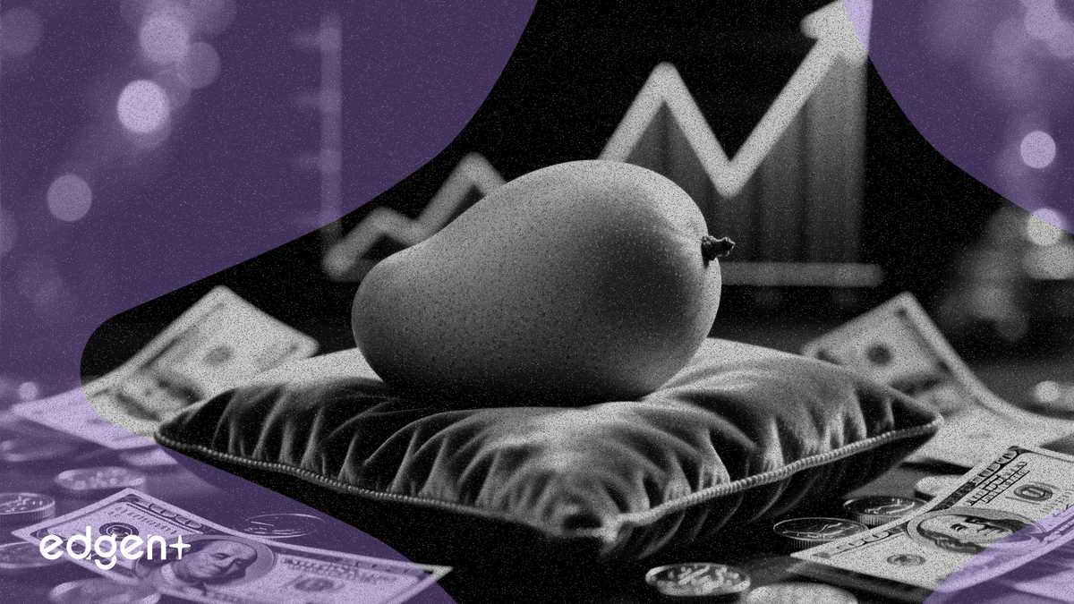 Les prix de la mangue indienne atteignent 60 $ la boîte face à la frénésie de la demande américaine