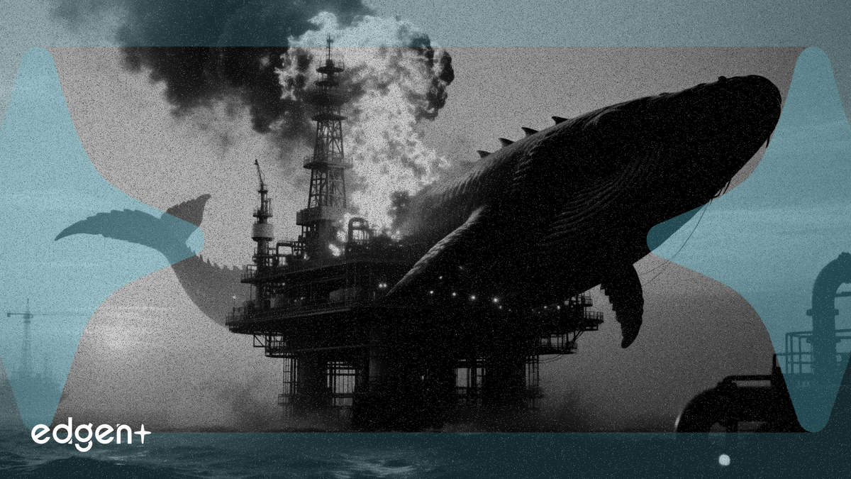 Le champ gazier israélien Leviathan redémarre après 33 jours d'arrêt dû à la guerre