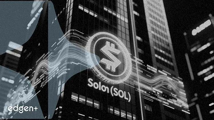 일본 게임사 WIZE, 추가 매수로 24,597 SOL 이상 보유