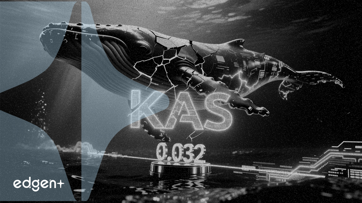 카스파(KAS), 고래 보유량 증가 속 0.032달러 지지선 테스트