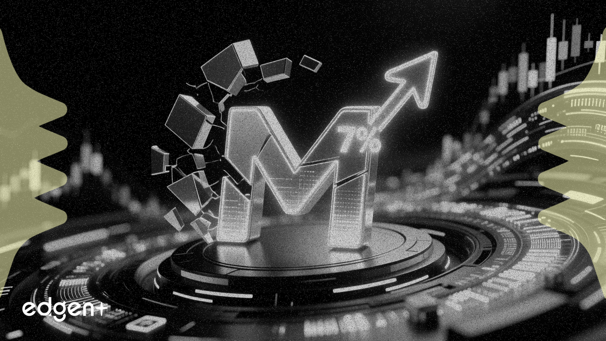 Manifest 目标通过期权交易占据 Solana DEX 交易量的 7%