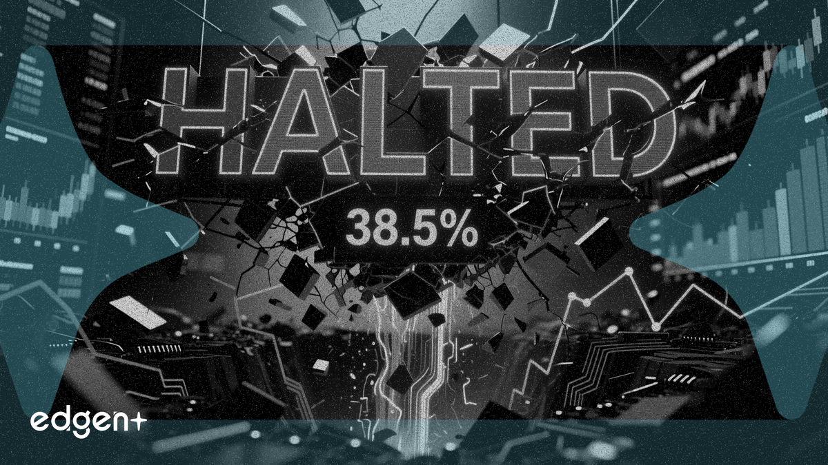 美図の取引が停止、空売り比率38.5%