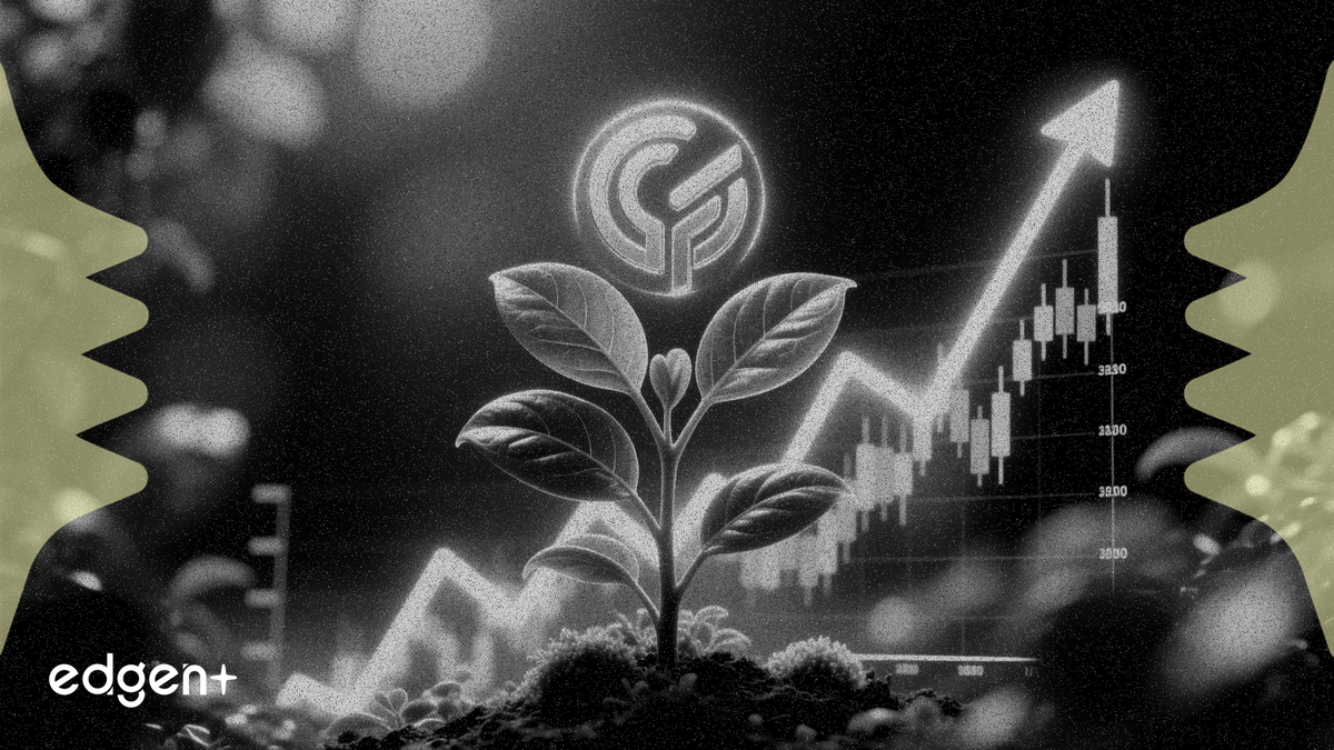 Mission Produce 因一起待定收購交易以溢價成交