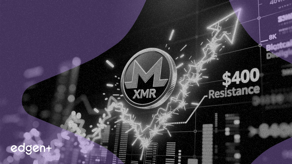 Monero Rises 30% in a Month to Test $400 Level