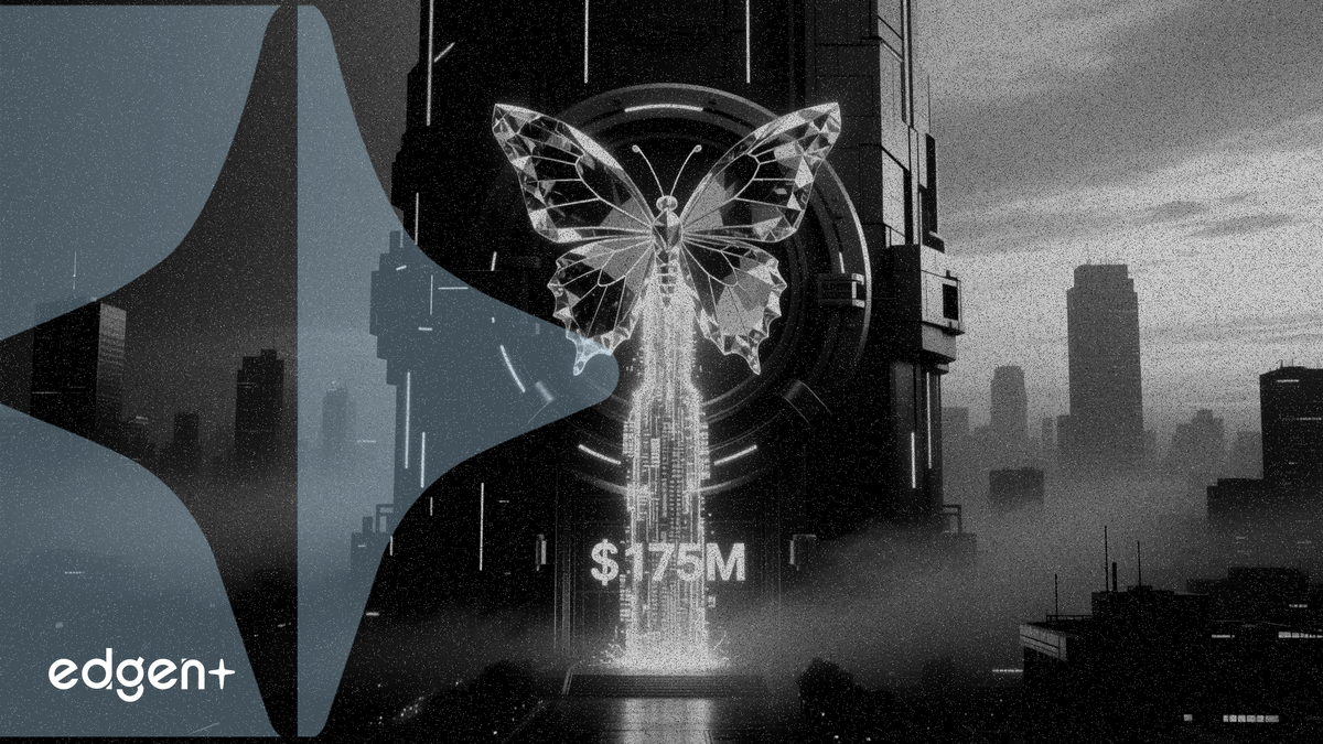 Morpho, DeFi borç verme protokolü, Paradigm ve a16z kripto liderliğinde 175 milyon dolar topladı, değerleme 2 milyar dolar