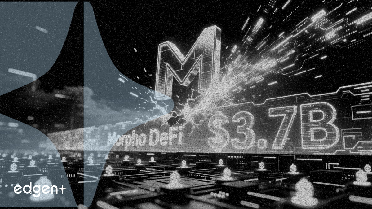 모포(Morpho) 토큰 12% 급등, 프로토콜 TVL 37억 달러로 사상 최고치 경신