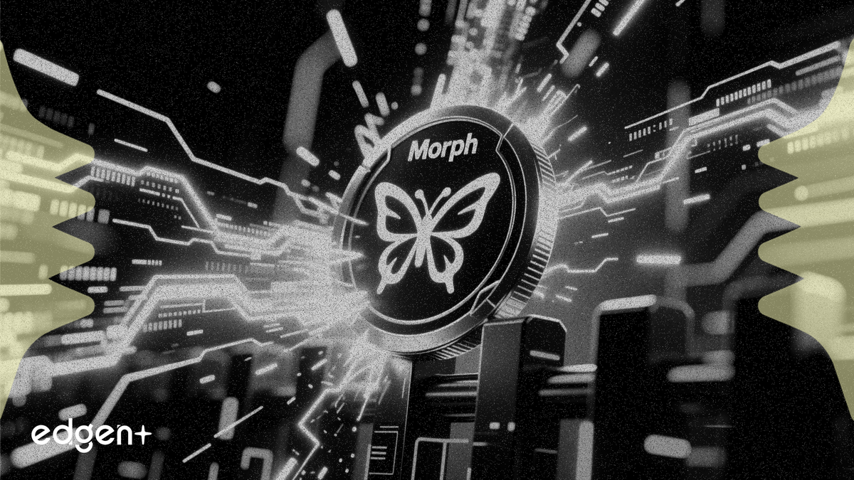 Morpho 代幣價格上漲 12%，創年度新高