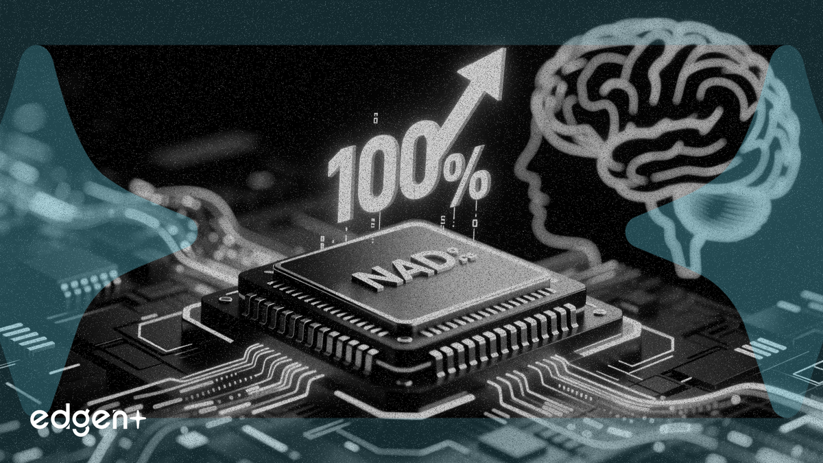 AI Süper Döngüsü Yeni Aşamaya Girerken NAND Flash Fiyatları %100 Arttı