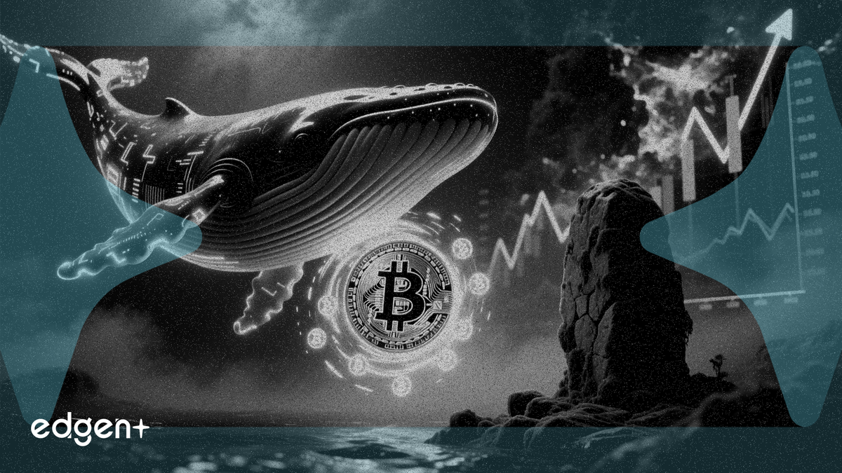 Yeni Balinalar Ralli Sırasında 150.000 Bitcoin Eklerken Eski Balinalar Hareketsiz Kaldı