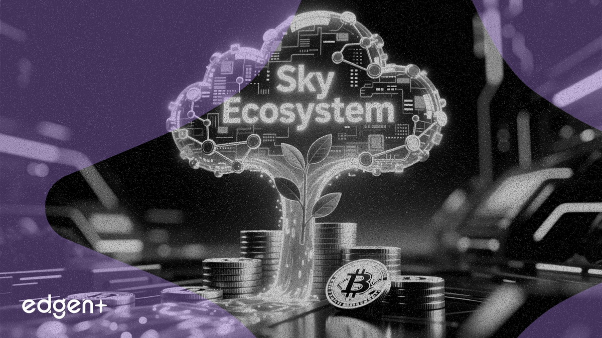 稳定币收益基础设施项目 Osero 已在由 Sky 生态系统领投的融资轮中筹集了 1350 万美元，用于构建分配稳定币衍生收益的产品。