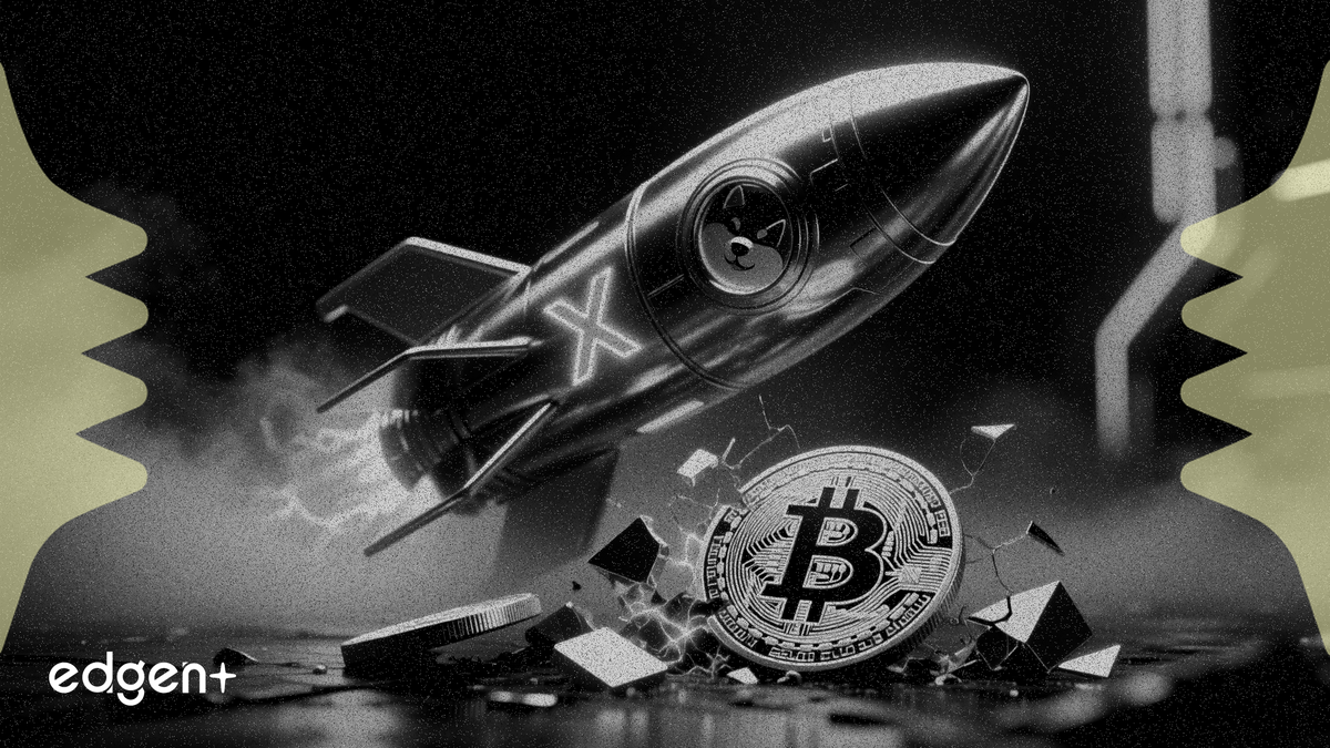 Pepeto 預售突破 870 萬美元，X Money 支付平台排除狗狗幣