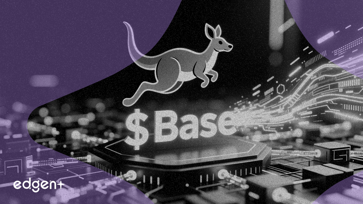 Ratehopper 確認基於績效的 $ROO 空投將在 Base 平台進行